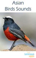 Asian Birds Sounds Poster