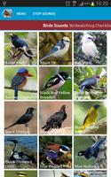 Asian Birds Sounds capture d'écran 1