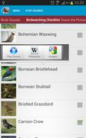 Asian Birds Sounds captura de pantalla 2