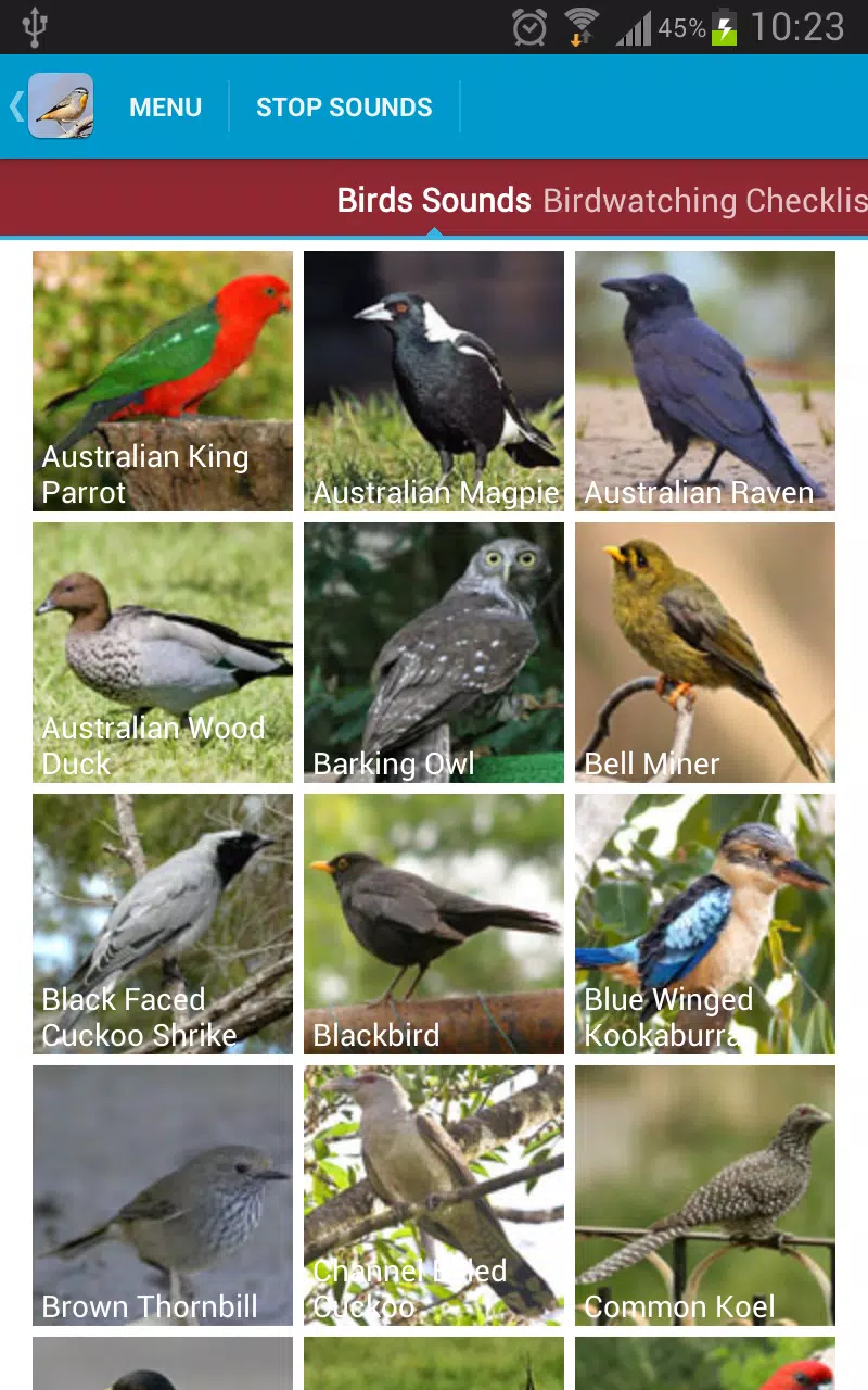 Australian Birds With Name