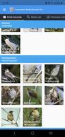 Australian Birds Sounds Pro تصوير الشاشة 1