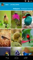Beautiful Birds Live Wallpaper 스크린샷 1