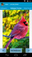 Beautiful Birds Live Wallpaper 스크린샷 2