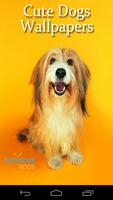 Cute Dogs Live Wallpapers Affiche