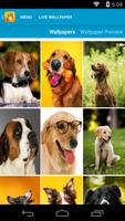Cute Dogs Live Wallpapers capture d'écran 1