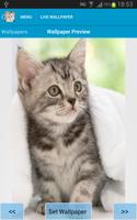 Cute Kittens Wallpapers capture d'écran 2