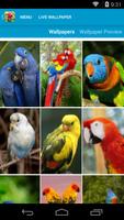 Amazing Parrots Wallpapers capture d'écran 1