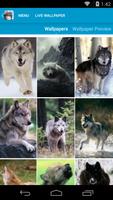 Wolves Live Wallpapers اسکرین شاٹ 1