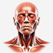 Medical Reference Guides Learn