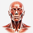 Medical Reference Guides Learn APK