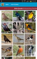 North American Birds Free স্ক্রিনশট 1