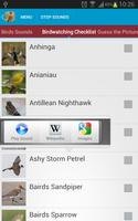 North American Birds Free ภาพหน้าจอ 2