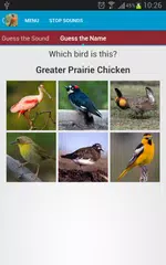 North American Birds Free アプリダウンロード