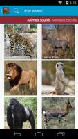 Safari Animal Sounds and List capture d'écran 2