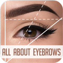 Eyebrows Steps for Beginners APK