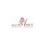 Anet icono