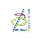 Brignais icono