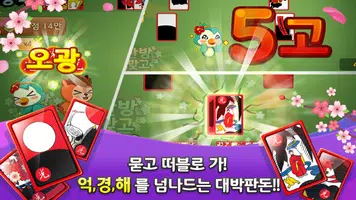 한방맞고: 인생 한방 고스톱 captura de pantalla 3
