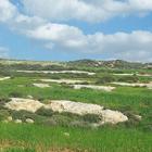 صور من الاردن أيقونة