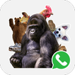 Animal Stickers - WAStickerApps