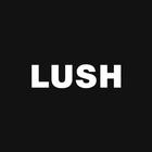 Lush icon