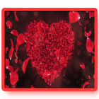 Valentines Day Wallpapers | Love Wallpapers HD biểu tượng