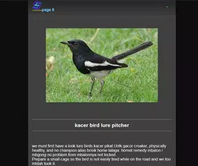 lure birds XAPK download