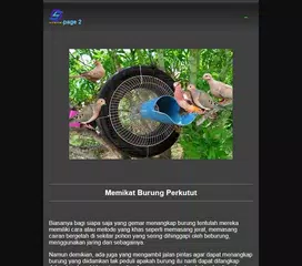 lure birds XAPK download