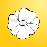 Lutea NFP Period&Cycle Tracker