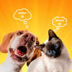 Dog Translator Prank Simulator APK