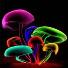 Cute Mushroom Wallpaper 图标