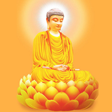 Kinh Nhat Tung icon