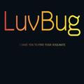 LuvBug 1.0