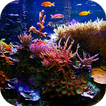 Aquarium Live Wallpaper - Fonds d'écran HD