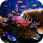 Aquarium Live Wallpaper ไอคอน