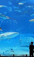 Aquarium Live Wallpaper تصوير الشاشة 1