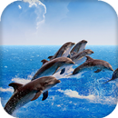 Dolphins Live Wallpaper - backgrounds hd APK