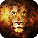 APK Lion Live Wallpaper - sfondi hd