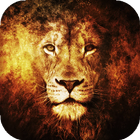 Lion Live Wallpaper icône