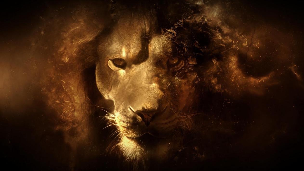 Leão Live Wallpaper - fundos hd para Android - APK Baixar