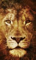 Lion Live Wallpaper 截图 2