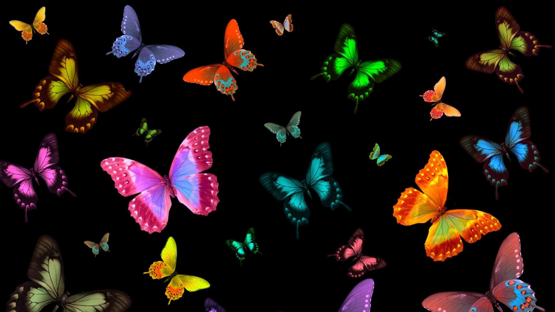 Featured image of post Glowing Neon Butterfly Png Find illustrations of neon glow