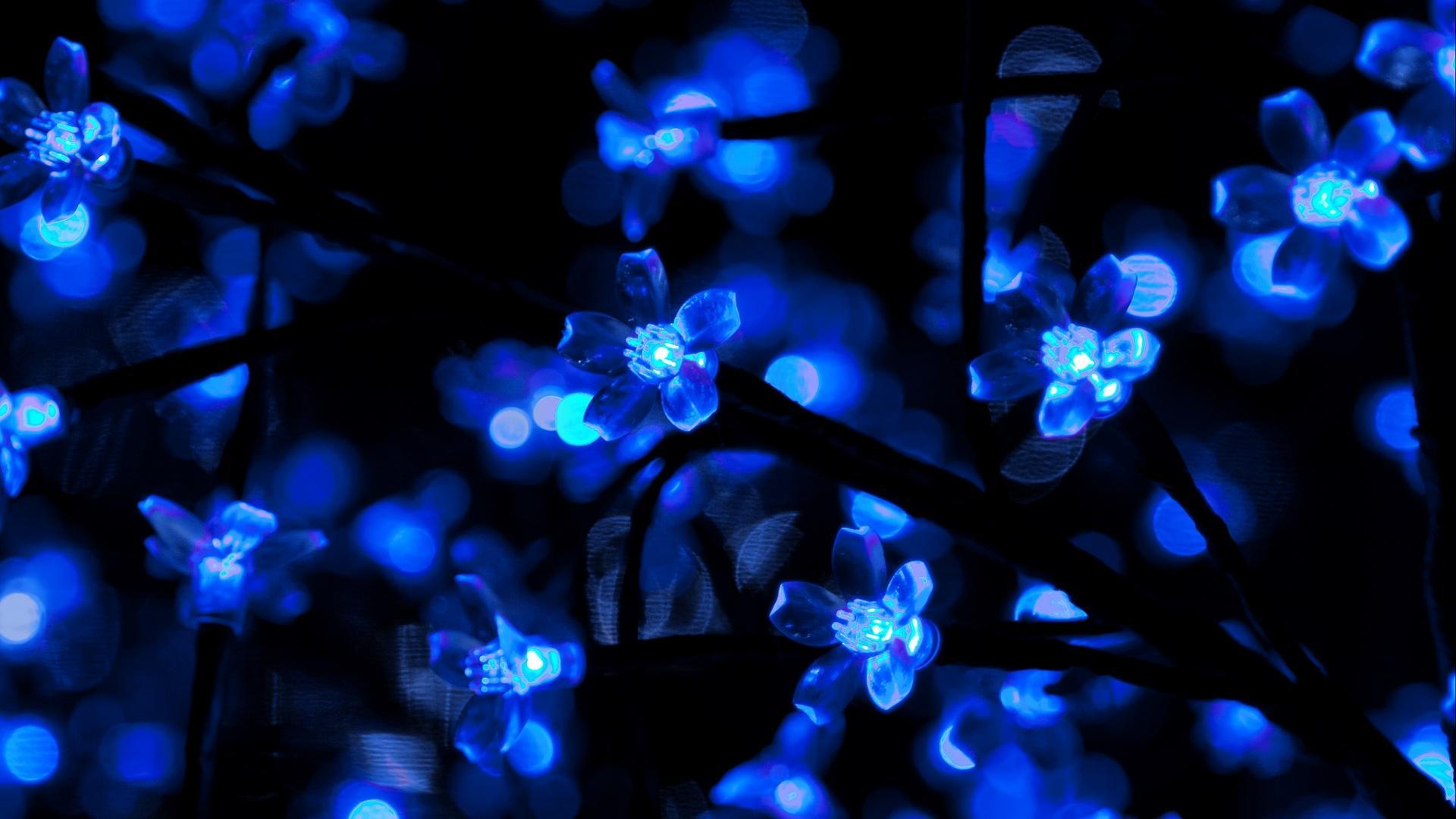 Neon Flower Live Wallpaper Backgrounds Hd For Android Apk Download - neon blue aesthetic wallpaper roblox