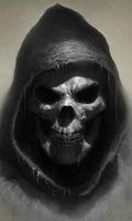 Skulls Live Wallpaper - backgrounds hd 포스터
