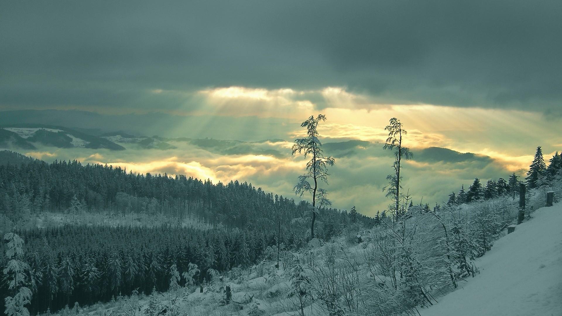 Winter Live Wallpaper for Android - APK Download