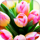 Tulips Live Wallpaper ikon