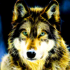 Neon Wolf Live Wallpaper APK