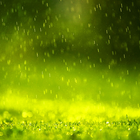 Regen Live Hintergrund Zeichen
