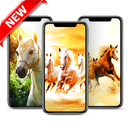 Best Horse Wallpaper HD APK