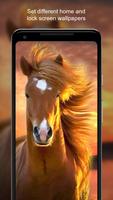 Best Horse Wallpaper HD capture d'écran 1